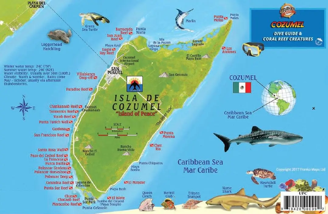 Színes korallzátony Cozumel szigeténél, Mexikó - búvárkodás Cancún közelében
