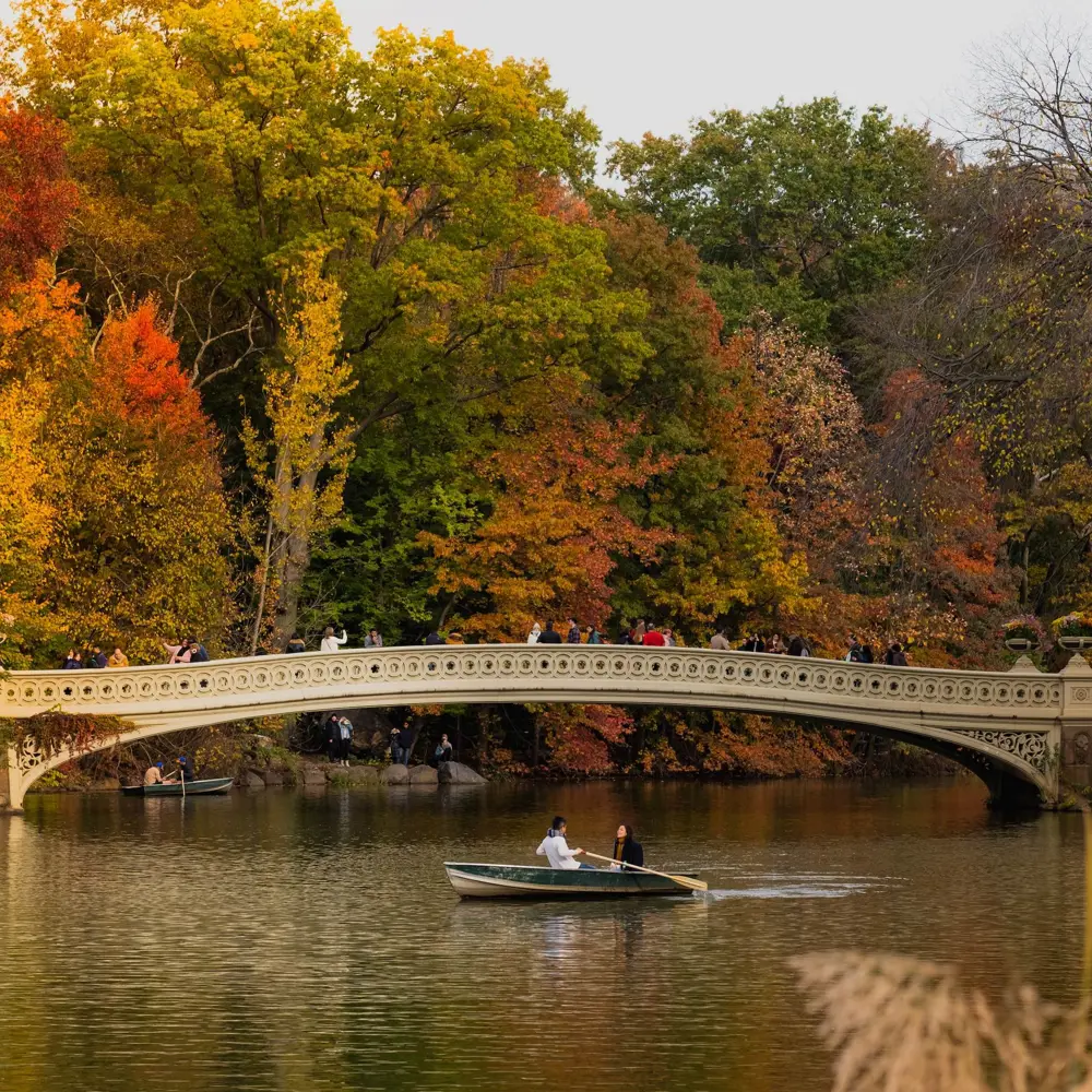 central park sárguló levelek tó bow bridge