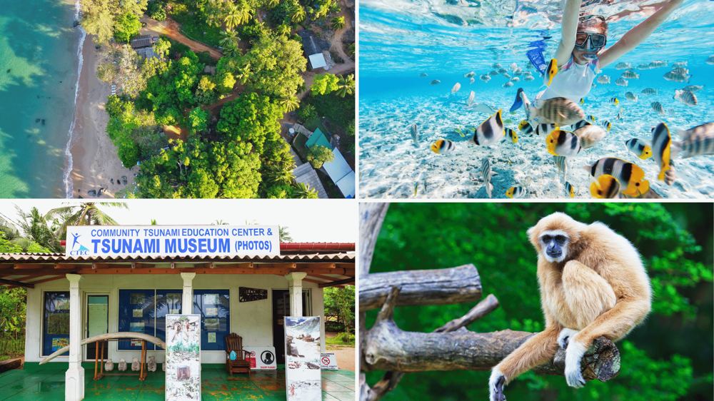 Khao Lak Tsunami múzeum, gibbon, búvákodás