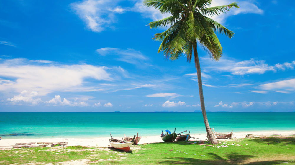 Koh Lanta szigete pálmafával és hófehér homokkal, a háttérben a tenger