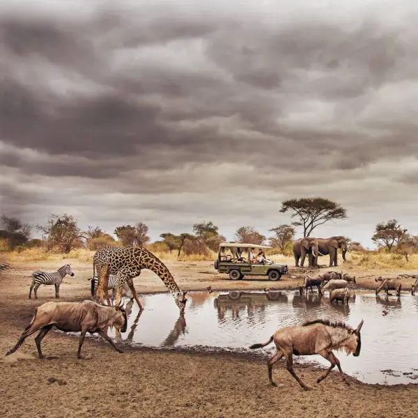 Tanzánia Safari és Zanzibár Üdülés **** kép