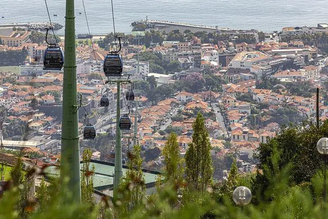 Madeira flórája kép