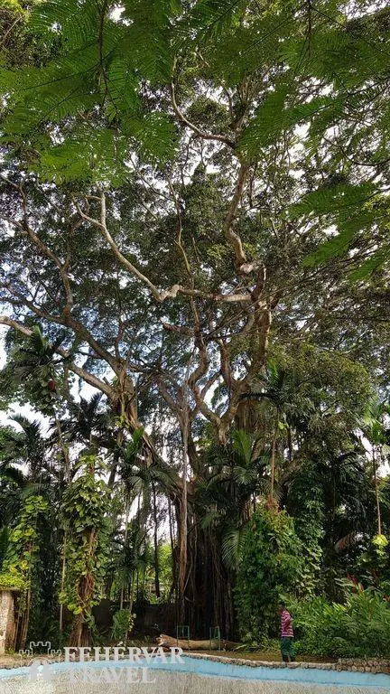 Florida és Jamaica kép