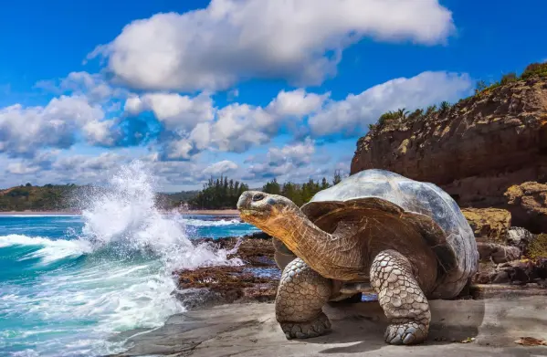 PANAMA - KOLUMBIA - ECUADOR ÉS A GALAPAGOS-SZIGETEK kép