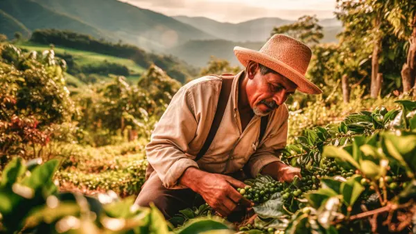 KOLUMBIA ÉS PANAMA - A KÁVÉ ÚTJÁN **** 1. kép