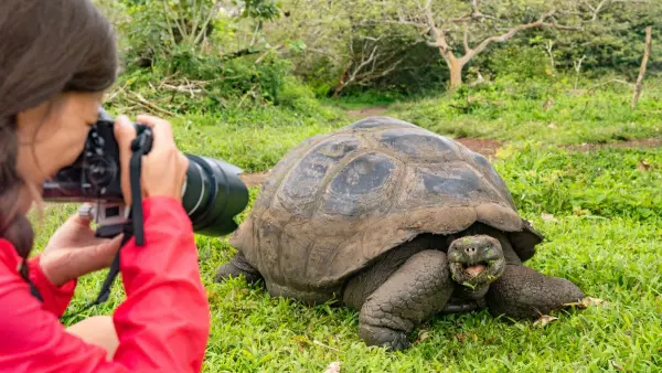 ECUADOR: QUITO ÉS GALÁPAGOS-SZIGETEK VILÁGA **** 1. kép
