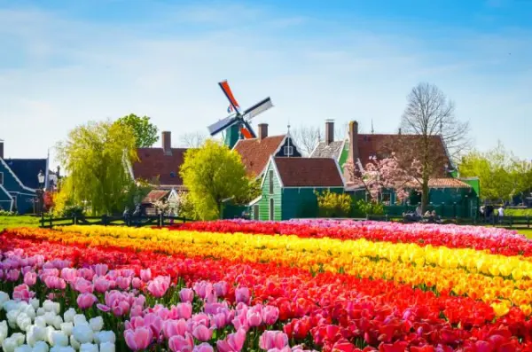 A tulipánok és szélmalmok földjén - csoportos utazás Hollandiába magyar idegenvezetéssel 2026.04.23-26. 1. kép
