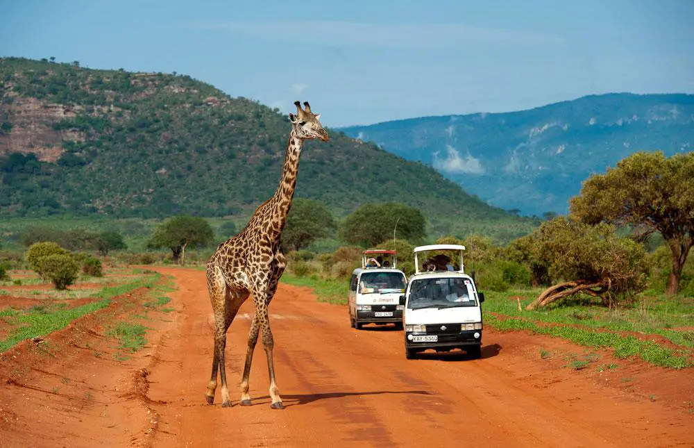 Szafari (2+5) - MASAI MARA, repülővel 1. kép