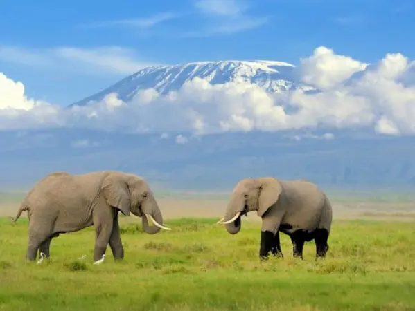 A Kilimandzsáró árnyékában - szafari és pihenés Kenyában magyar idegenvezetővel 2026.01.20-31. 1. kép