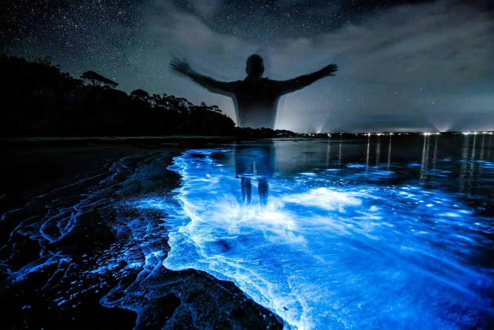 ausztrália jarvis bay biolumineszcencia