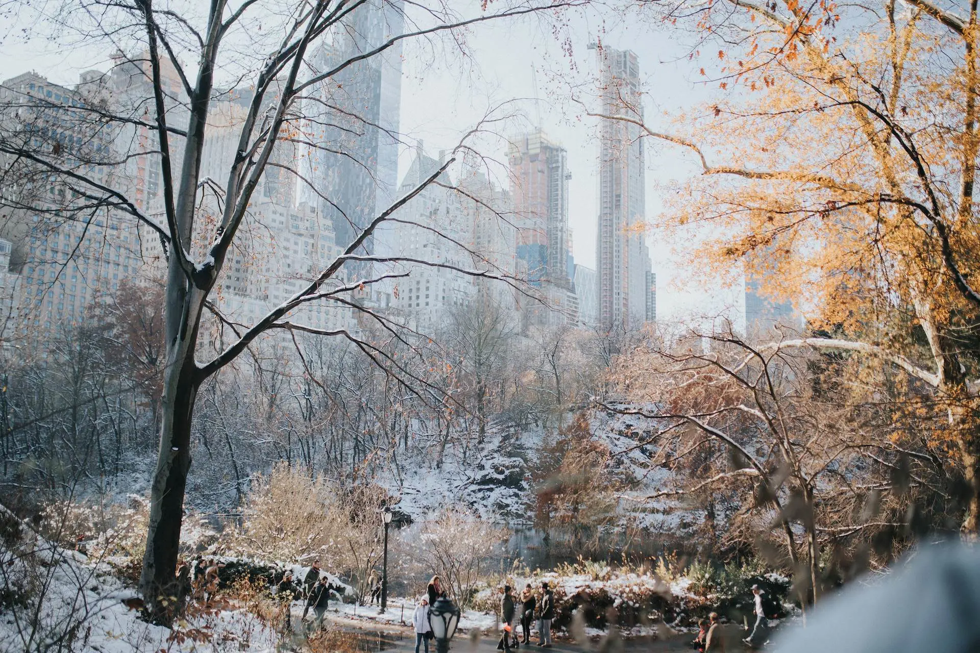 new york central park télen hóban