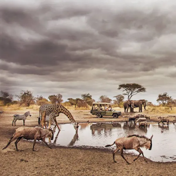 Tanzánia Safari és Zanzibár Üdülés **** 1. kép