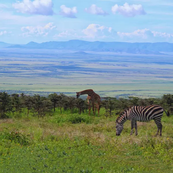 Tanzániai szafari és nyaralás Zanzibáron kép