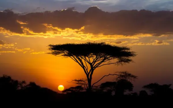Szafari Észak-Tanzániában a nagy állatvándorlás idején és nyaralás Zanzibáron- 2024.08.18-29. 1. kép