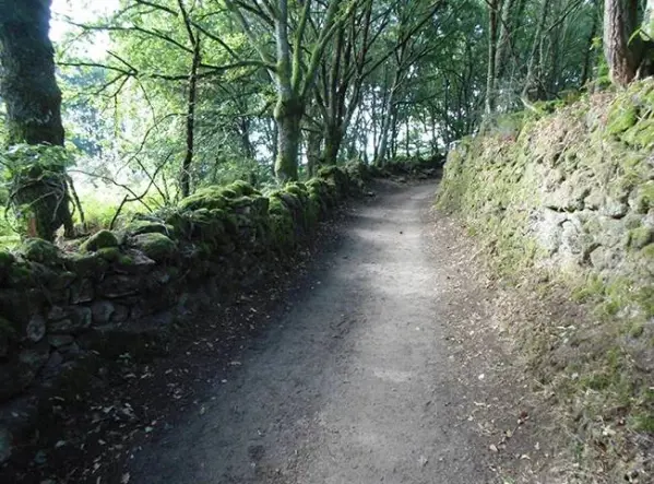 El Camino zarándokút Galíciában 1. kép