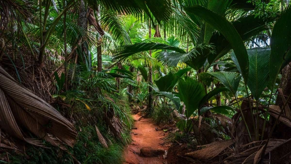 SEYCHELLES - AZ INDIAI-ÓCEÁN ÁLOMSZIGETEI **** 1. kép